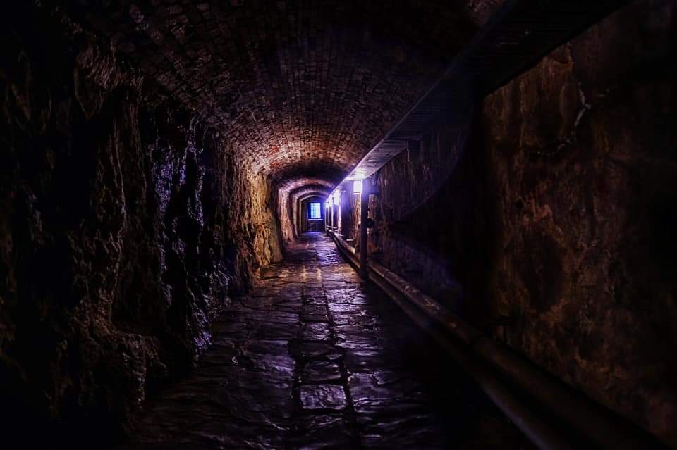 FB_IMG_1569933605615